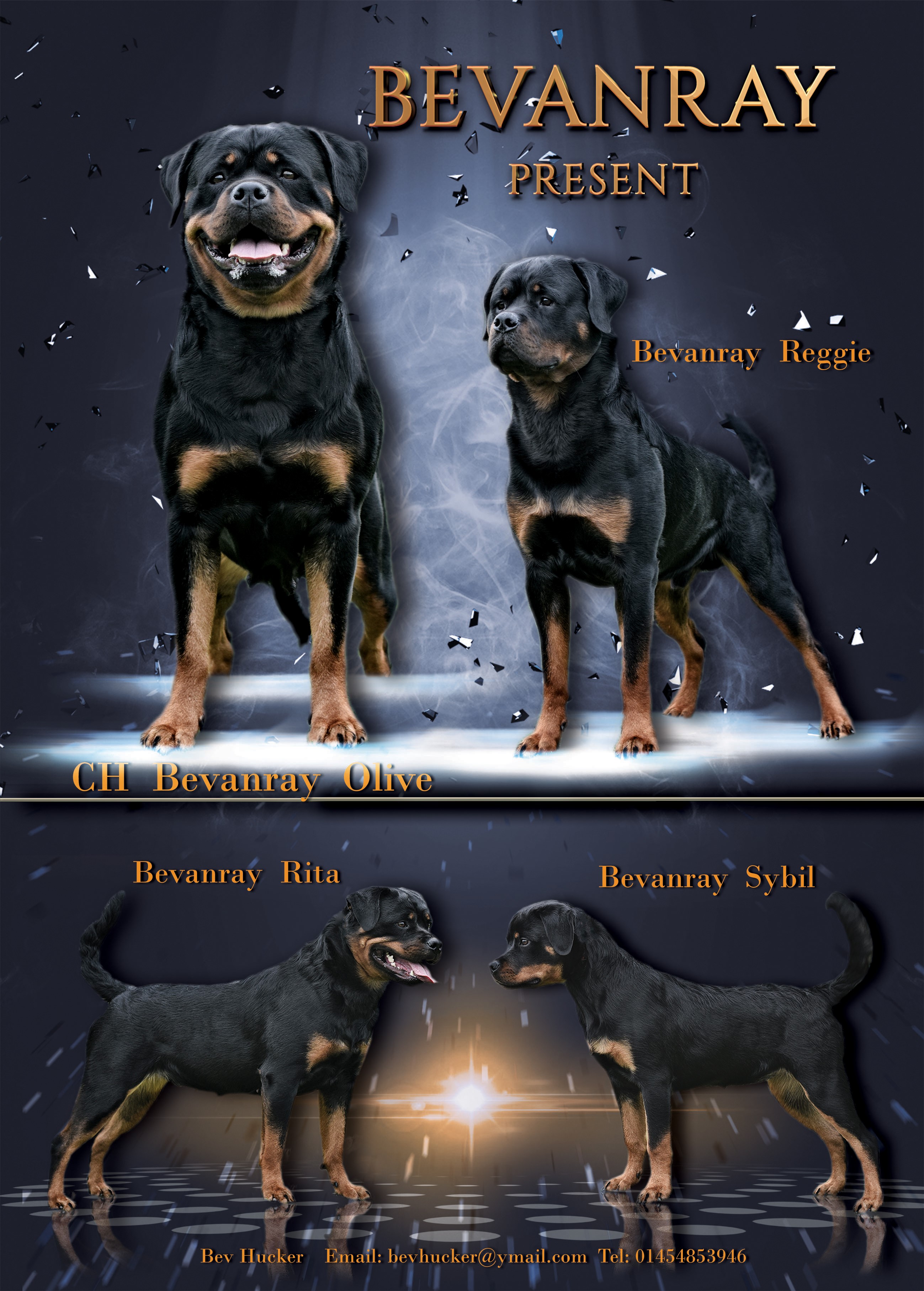 Bevanray rottweilers discount